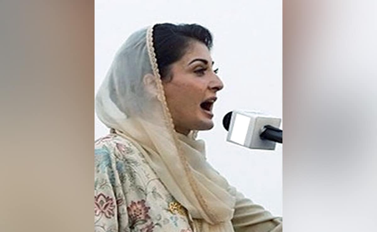 "Game Over": Nawaz Sharif's Daughter Maryam Nawaz Mocks Imran Khan