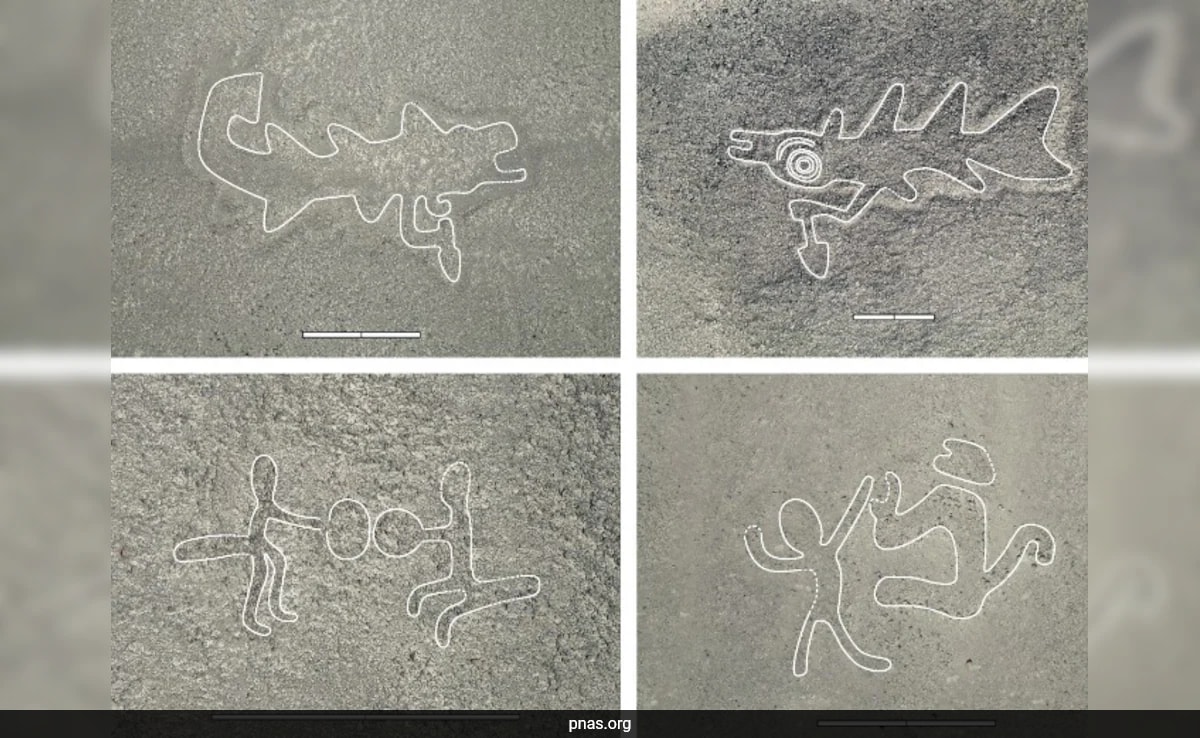 AI Uncovers New Nazca Lines, Including 'Knife Wielding Orca'