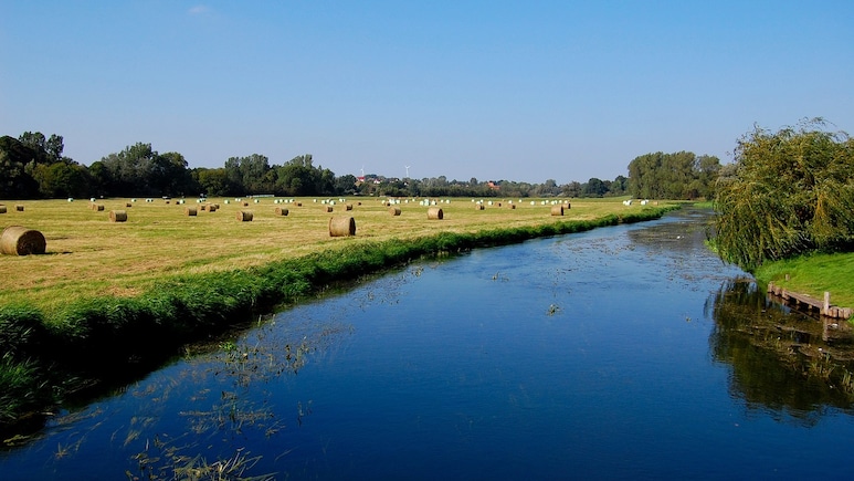 Mystery Of , Year Old Battle Unfolds In Germany's Tollense River Valley