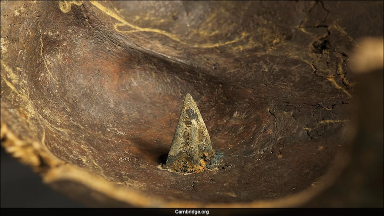 Thousands Of Bones And Weapons Uncover Brutal , Year Old Battle