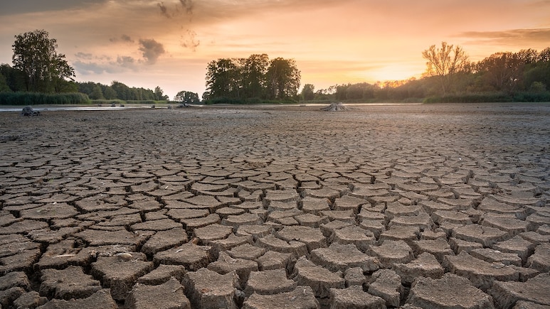 As Planet Warms, Droughts Likely Key Factor Driving People To Cities: Study