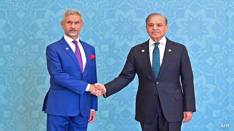 India, Pak Match Soon? Cricket Comes Up In S Jaishankar's Islamabad Visit