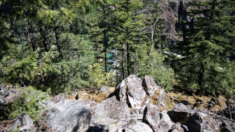 Man Survives Day Ordeal In US Park On Mushrooms, Berries And Water