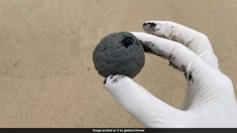 'Mysterious Black Balls' Spotted At Sydney Beaches
