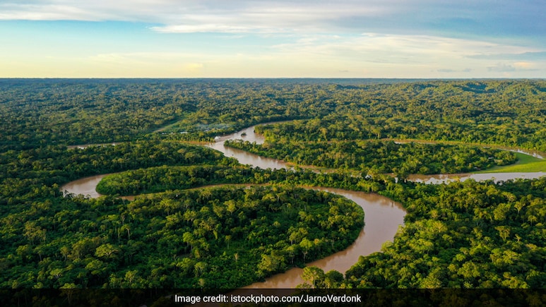 "Our Territories Not For Sale": Indigenous Groups In Brazil On Carbon Credits