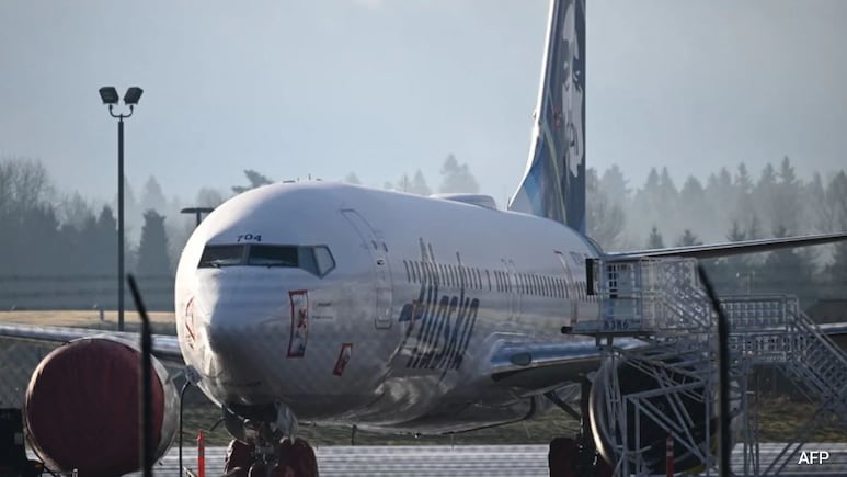 US Man Sues Alaska Airlines After His Dog Dies During Flight