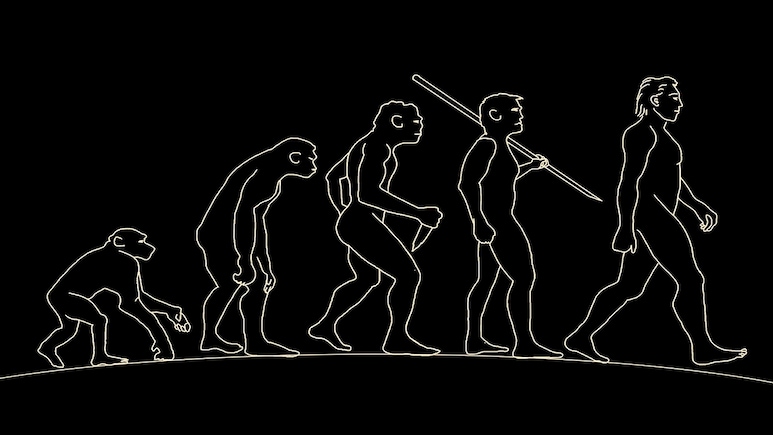 Years Ago, Discovery Of This Fossil Changed Understanding Of Evolution