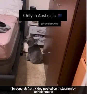 Australian Couple Returns Home From Work