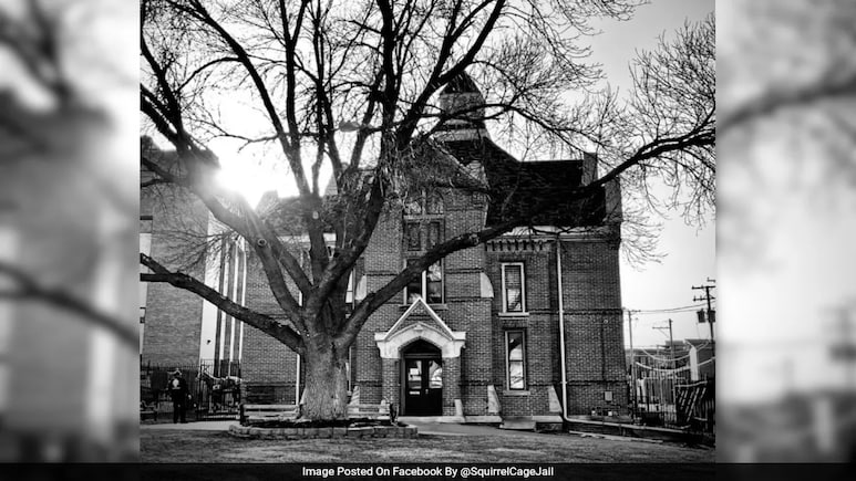 Chilling History Of Squirrel Cage Jail, Where Anmol Bishnoi Is Lodged