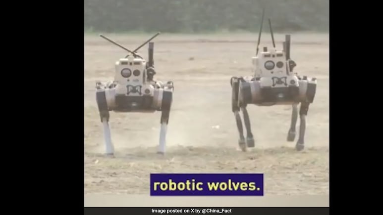 China's Robot Wolves Can Jump, Climb, Back Flip Through Difficult Terrains