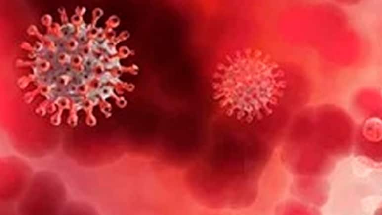 Covid Caused Cancer Tumours To Shrink In Mice: Study