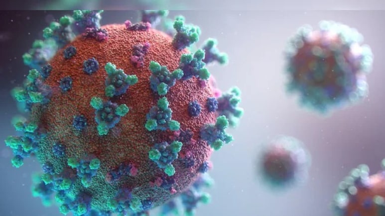 Covid Virus Remains In Skull For Years After Infection: Study