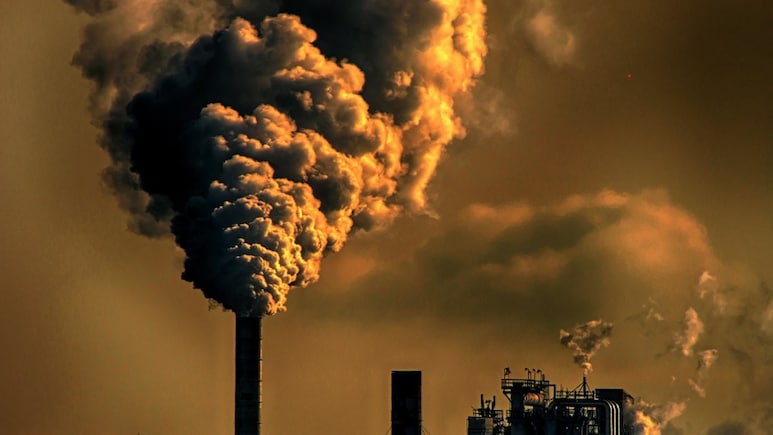 Global Carbon Emissions Hit Record High In 2024