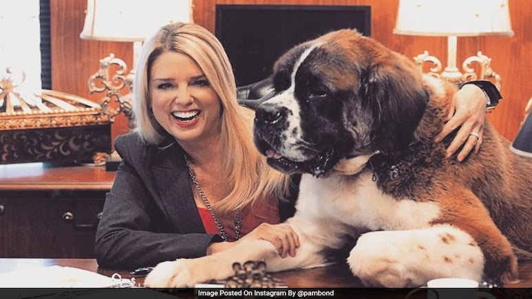 Pam Bondi, Donald Trump Pick For Top Lawyer, Got Sued For "Stealing" A Dog