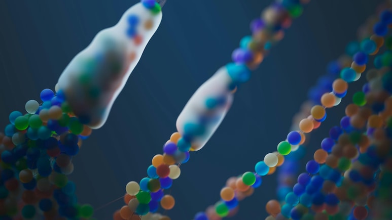 Single Cell Could Be Capable Of 'Learning': Study