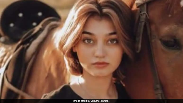 Who Is Imsha Rehman, Pakistani TikTok Star Caught In Video Leak Scandal