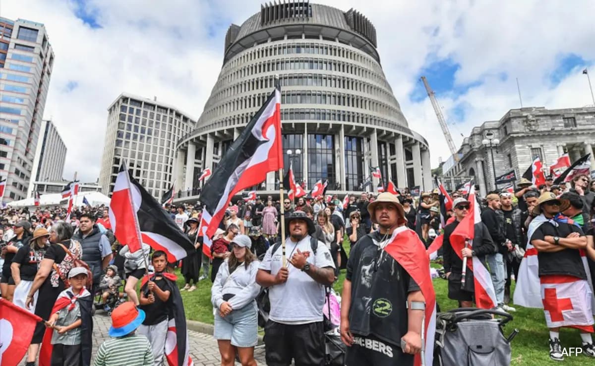 Why , Marched On New Zealand Streets To Protest For Maori Rights