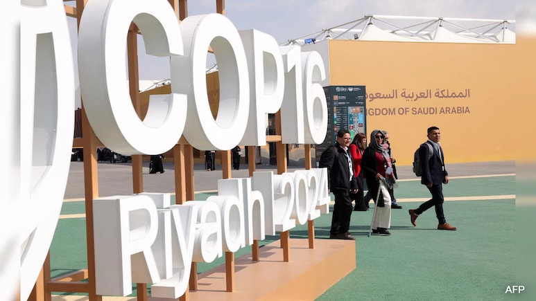 At COP, Saudi Arabia Bets On Climate Tech To Make Deserts Bloom