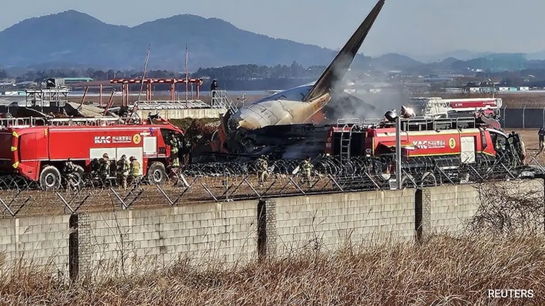 Bird Activity Alert To 'Mayday' Call: Final Moments Before South Korea Crash