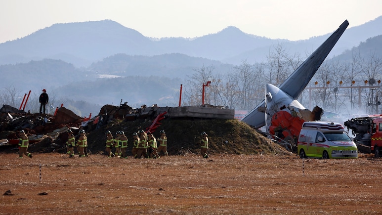 Bird Hit, Gear Glitch, Belly Landing: Chain Of Events In South Korea Crash