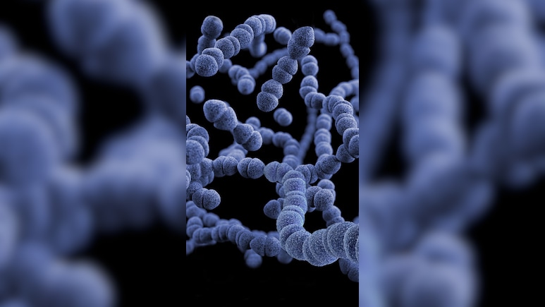 Flesh Eating Bacteria 'Buruli Ulcer' Spreading In Australia