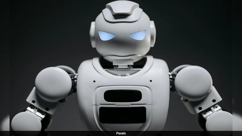 Foul Mouthed AI Bot Takes Customer Service Training To A New Level