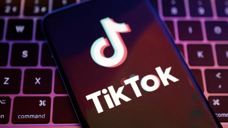 TikTok Asks US Supreme Court To Temporarily Block Government Ban