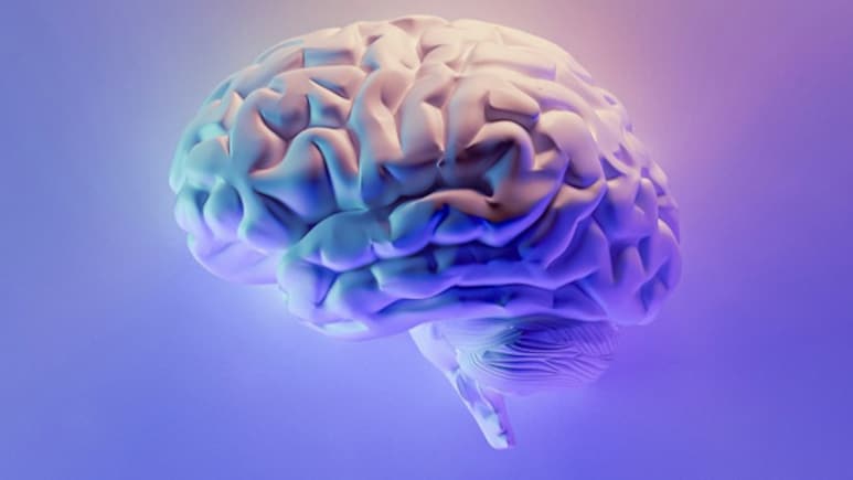 US Teens Brain Structure Study Links Early Substance Use Risk
