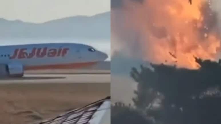 Video: Moment When Plane Went Off Runway, Crashed At South Korea Airport