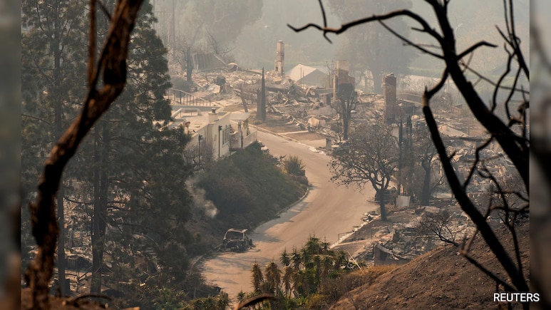 California Governor Slams Elon Musk Over Los Angeles Wildfire "Lies"