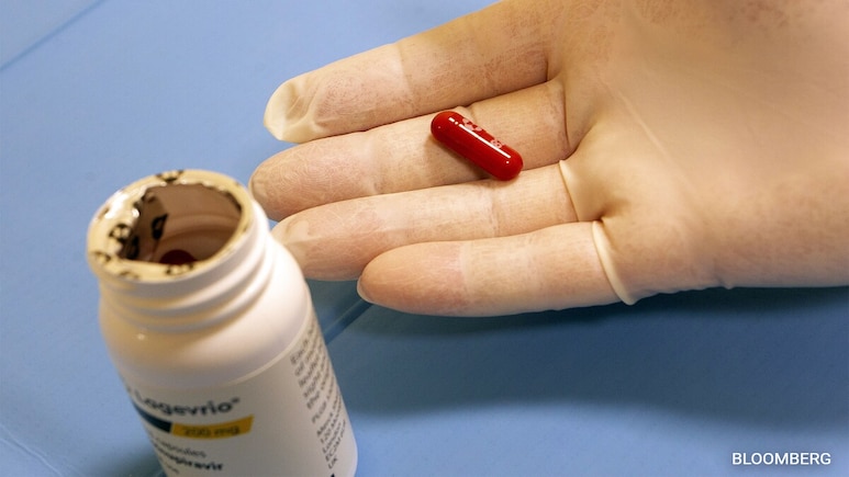 Chinese Cat Owners Are Feeding Covid Pills To Their Pets