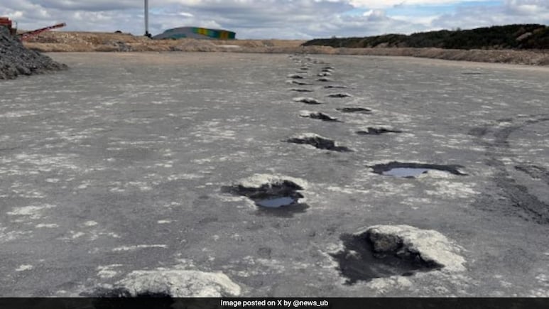 'Dinosaur Highway' With Footprints From Jurassic Period Found In UK