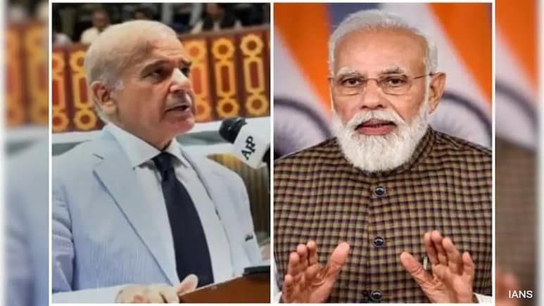 "Relevant T Word Is Terrorism, Not Tango": India On Pak Deputy PM's Remark