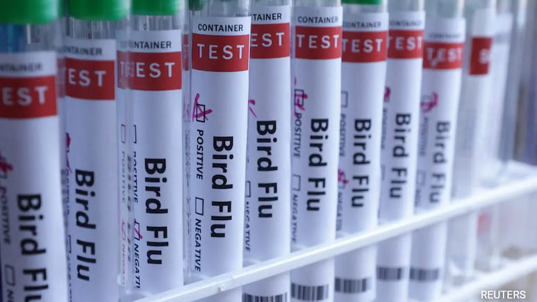 US Records st Human Bird Flu Death: Health Authorities