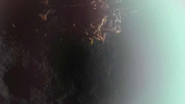 Blue Ghost's First Photo From Moon
