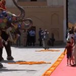 Watch: Elephants Chanda And Pushpa Welcome JD Vance, Family At Amer Fort