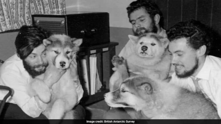 Years After His Death, Body Of British Man Found In Antarctic Glacier