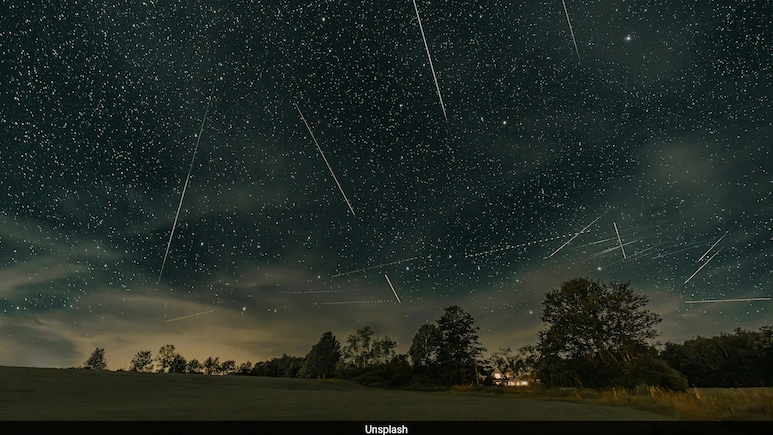 Perseid Meteor Shower: All About The Most Dazzling Sky Show Of The Year